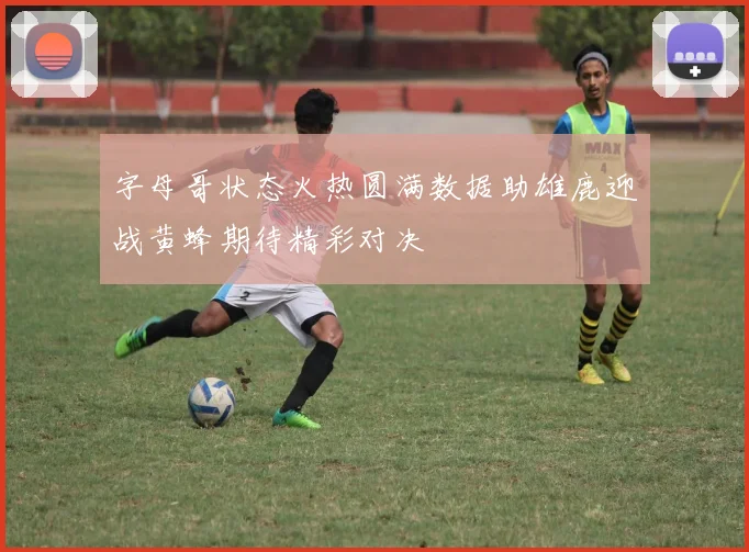 字母哥状态火热圆满数据助雄鹿迎战黄蜂期待精彩对决