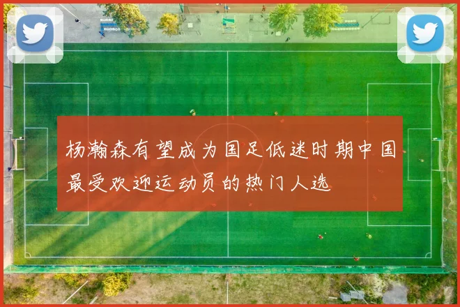 杨瀚森有望成为国足低迷时期中国最受欢迎运动员的热门人选